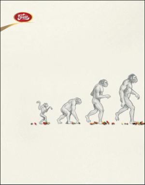 dagbladet_magasinet-20100710_000_00_00_010.pdf