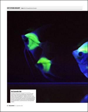 dagbladet_magasinet-20100925_000_00_00_014.pdf