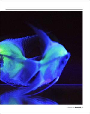 dagbladet_magasinet-20100925_000_00_00_015.pdf