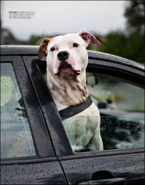 dagbladet_magasinet-20100925_000_00_00_025.pdf