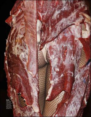 dagbladet_magasinet-20101016_000_00_00_060.pdf