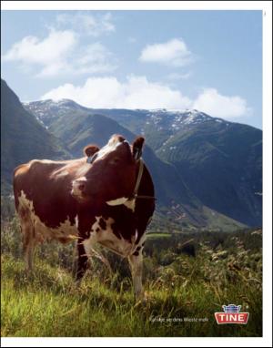 dagbladet_magasinet-20101113_000_00_00_009.pdf