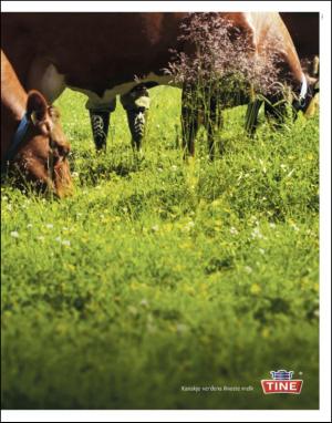 dagbladet_magasinet-20101127_000_00_00_009.pdf