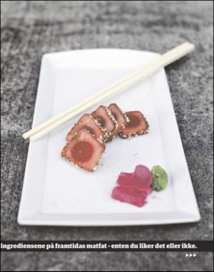 dagbladet_magasinet-20110205_000_00_00_023.pdf