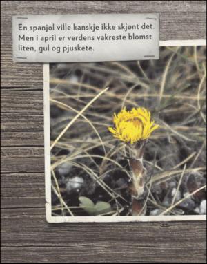 dagbladet_magasinet-20110430_000_00_00_046.pdf