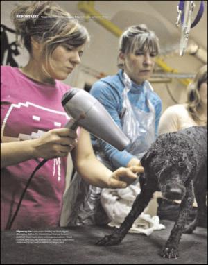 dagbladet_magasinet-20110507_000_00_00_042.pdf