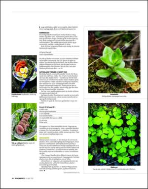dagbladet_magasinet-20120714_000_00_00_056.pdf