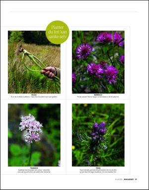 dagbladet_magasinet-20120714_000_00_00_057.pdf