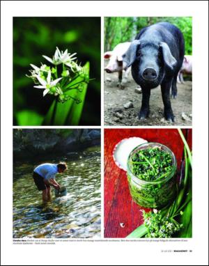dagbladet_magasinet-20120728_000_00_00_055.pdf