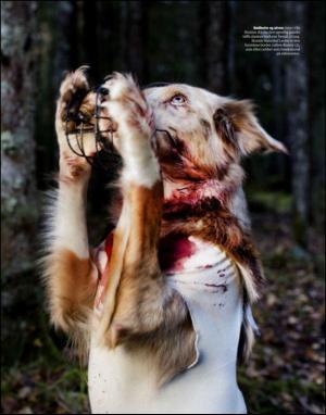 dagbladet_magasinet-20121020_000_00_00_037.pdf