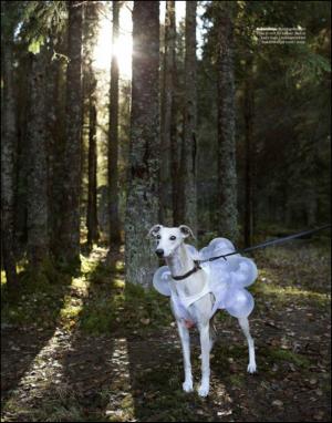 dagbladet_magasinet-20121020_000_00_00_039.pdf