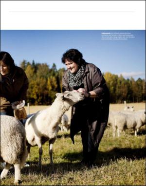 dagbladet_magasinet-20121103_000_00_00_053.pdf