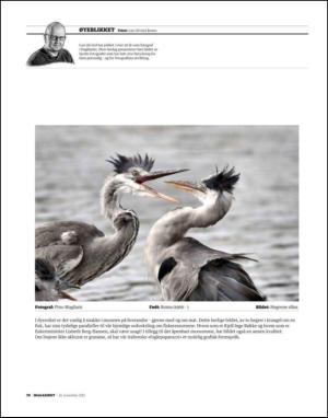 dagbladet_magasinet-20121124_000_00_00_070.pdf
