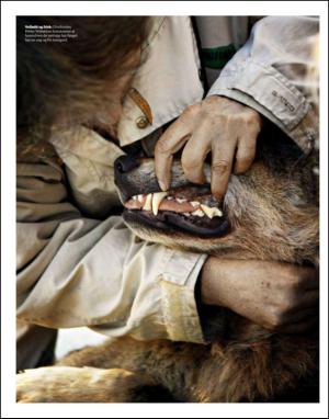 dagbladet_magasinet-20130216_000_00_00_022.pdf