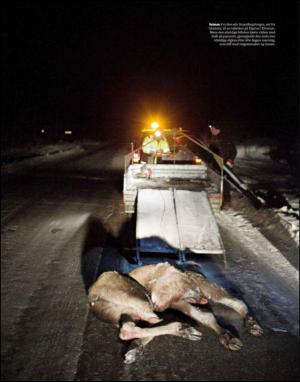 dagbladet_magasinet-20130302_000_00_00_025.pdf