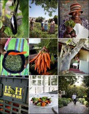 dagbladet_magasinet-20130316_000_00_00_071.pdf