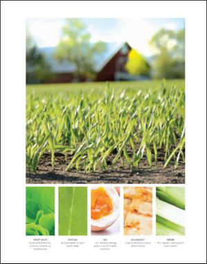 dagbladet_magasinet-20130323_000_00_00_084.pdf