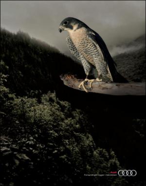 dagbladet_magasinet-20130511_000_00_00_003.pdf