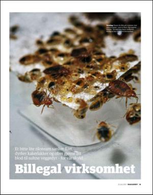 dagbladet_magasinet-20130622_000_00_00_041.pdf