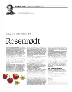 dagbladet_magasinet-20130713_000_00_00_054.pdf