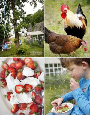 dagbladet_magasinet-20130713_000_00_00_055.pdf