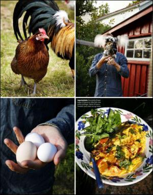 dagbladet_magasinet-20130720_000_00_00_055.pdf