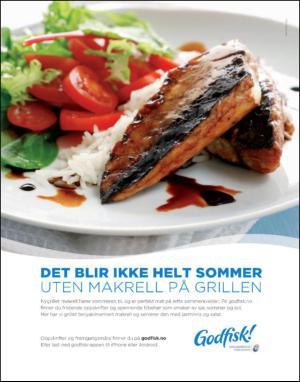 dagbladet_magasinet-20130720_000_00_00_058.pdf