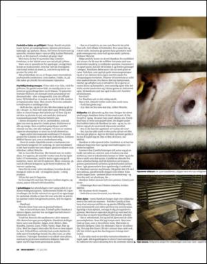 dagbladet_magasinet-20130727_000_00_00_028.pdf