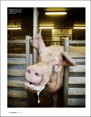 dagbladet_magasinet-20130727_000_00_00_030.pdf