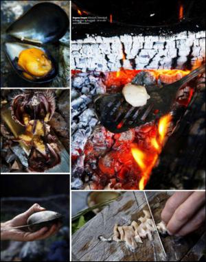 dagbladet_magasinet-20130727_000_00_00_055.pdf