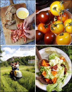 dagbladet_magasinet-20130803_000_00_00_057.pdf