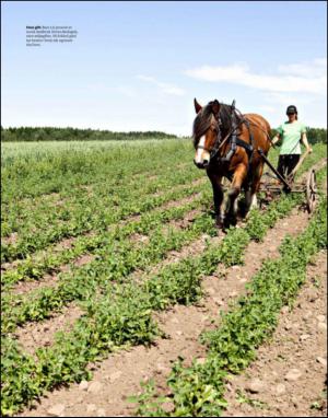 dagbladet_magasinet-20130810_000_00_00_018.pdf