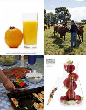 dagbladet_magasinet-20130810_000_00_00_024.pdf