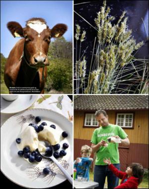 dagbladet_magasinet-20130810_000_00_00_057.pdf