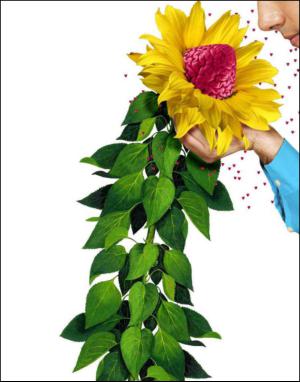 dagbladet_magasinet-20130907_000_00_00_063.pdf