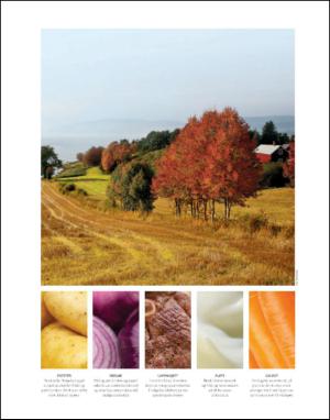 dagbladet_magasinet-20131012_000_00_00_002.pdf