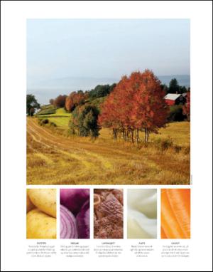 dagbladet_magasinet-20131019_000_00_00_012.pdf