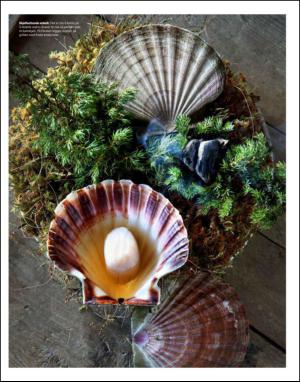 dagbladet_magasinet-20140315_000_00_00_077.pdf