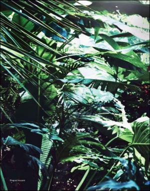 dagbladet_magasinet-20140503_000_00_00_006.pdf