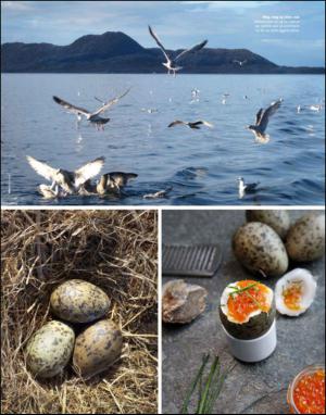 dagbladet_magasinet-20140524_000_00_00_069.pdf