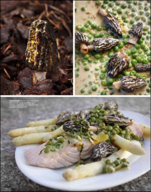 dagbladet_magasinet-20140531_000_00_00_069.pdf