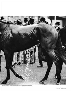 dagbladet_magasinet-20140614_000_00_00_041.pdf