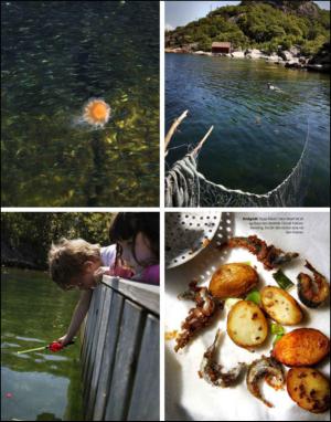 dagbladet_magasinet-20140712_000_00_00_055.pdf