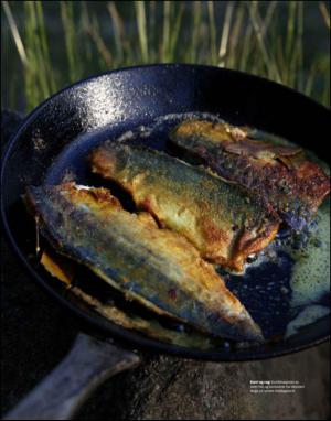 dagbladet_magasinet-20140712_000_00_00_057.pdf