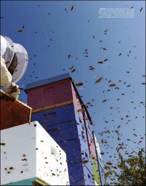 dagbladet_magasinet-20140802_000_00_00_017.pdf