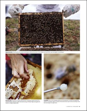 dagbladet_magasinet-20140802_000_00_00_019.pdf