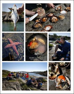 dagbladet_magasinet-20140802_000_00_00_057.pdf