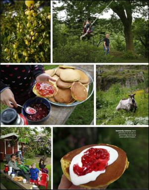 dagbladet_magasinet-20140809_000_00_00_059.pdf