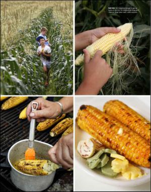 dagbladet_magasinet-20140906_000_00_00_053.pdf