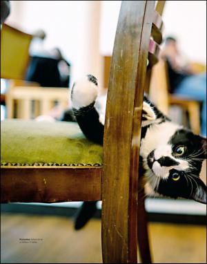 dagbladet_magasinet-20141018_000_00_00_040.pdf